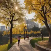 如果一个大学生想在周末进行户外运动锻炼那么北京市内有那些公园或者是自然风景区可以供他她在其中任意选择的一个来锻炼身体吗？