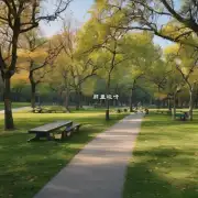 有哪些公园适合散步或野餐呢？