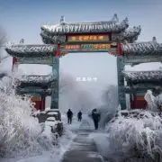 在过去十年中哪一个年份被认为是中国最寒冷的一个？