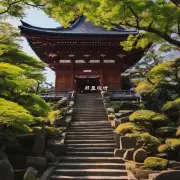 如果打算前往京都游玩你应该去看看哪个寺庙或神社才好呢？
