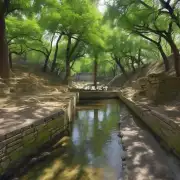 古堰渡是一座古代水利工程遗址位于上虞市东郊它由一座古老的大坝一条小溪及两旁的古树构成第四问这些景点适合什么样的人群?