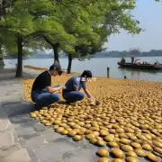 杭州西湖挖蛤蜊的最佳旅游季节是什么时候?