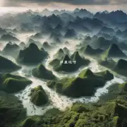 在中国西北地区的哪些地区可以看到大量胡杨林景观?