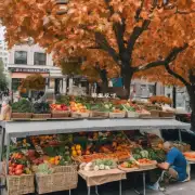 哪些城市适合在秋季品尝当地美食?