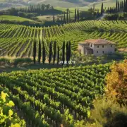 问题五在意大利托斯卡纳托斯卡纳意大利语地区有一个著名的葡萄园叫做什么?