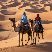 秋季去沙漠里骑骆驼是什么体验?