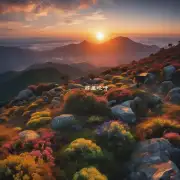 你去过大明山看日出和日落吗?