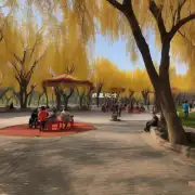 在沈北新区有什么公园适合散步和野餐吗?