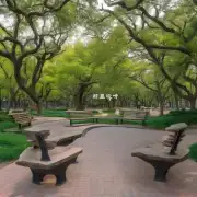 有哪些公园可以放松身心?