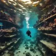 如果你想去长岛进行潜水或浮潜活动有哪些地方可以去体验这些水下运动?