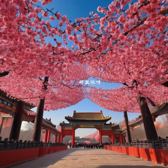 年春节期间去往北京旅游需要注意什么？